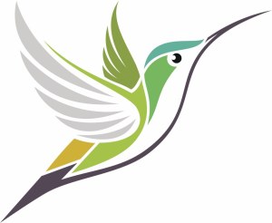 Всичко, което трябва да знаете за Google Hummingbird